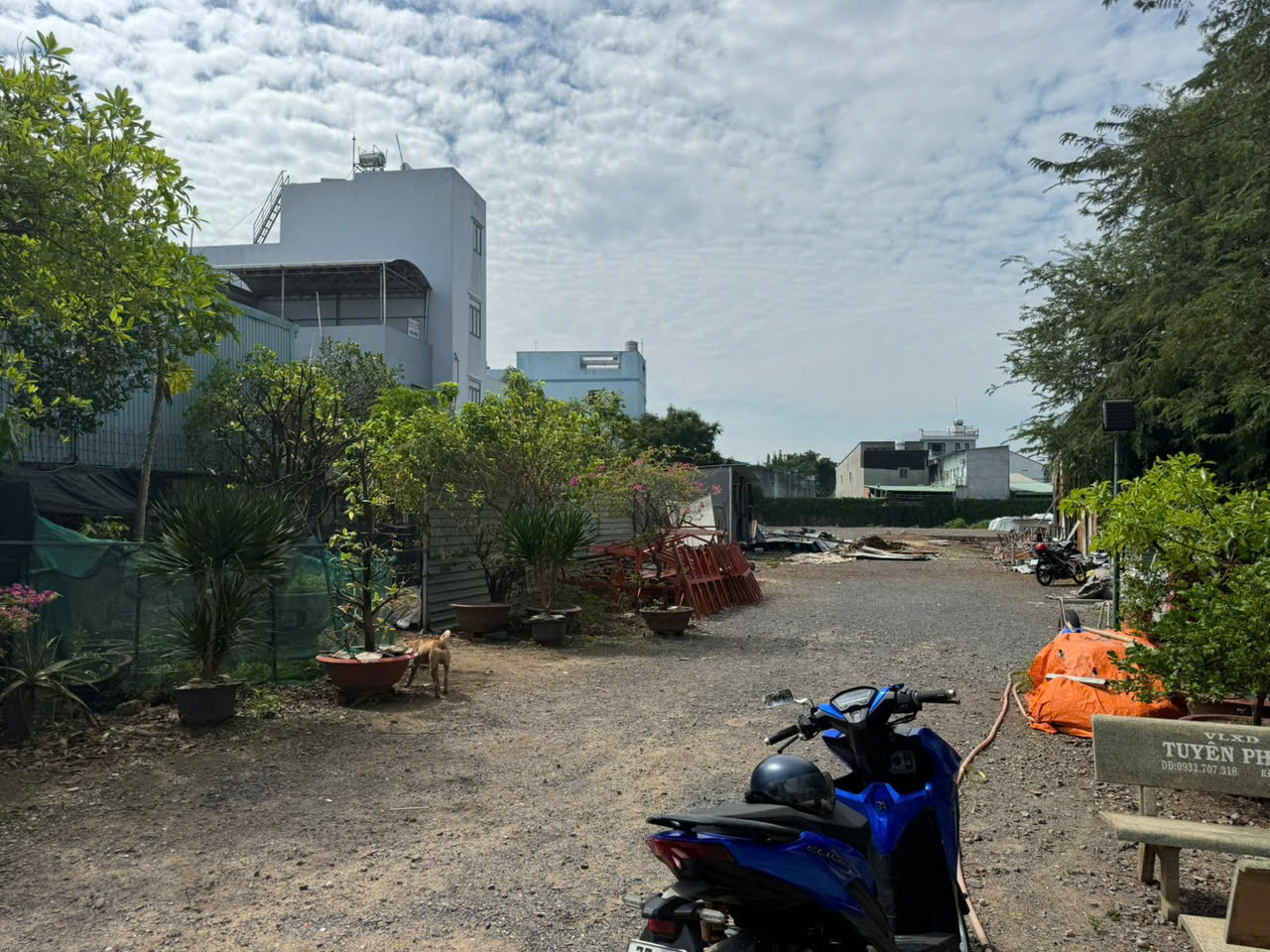 Bán Gấp  3973m2 Đất- Võ Thị Hồi - Xuân Thới Sơn Hóc Môn Chỉ Nhỉnh 10tr/1m2 - Ảnh 3